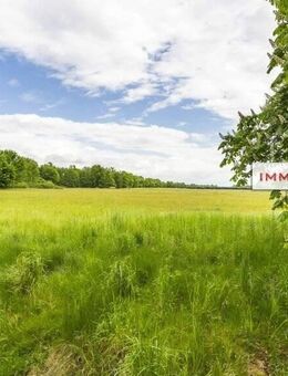 IMMOBERLIN.DE - Attraktives Haus mit sehr viel Gestaltungspotential auf großem Grundstück in Wohlfühllage - Dallgow-Döberitz