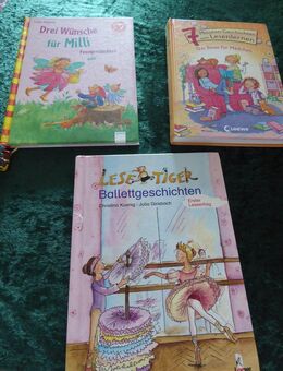 3 Bücher Allererstes Erstes Lesen Lesenlernen Erstleser - Aachen