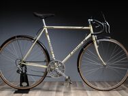Gazelle Champion Mondial Randonneur / Halbrenner, Rahmenhöhe 56 cm, 1970er Jahre, toller Zustand und komplett überholt, super als Cityrad, - Varel