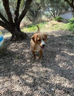 Lotti ist eine ganz liebe Maus - Grasbrunn
