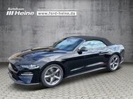 Ford Mustang, 5.0 Ti-VCT Convertible V8 GT CABRIO CALIF-SPEICAL 3, Jahr 2022 - Marienmünster