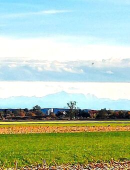 ***Aussicht*** Neuwertige Wohnung in Rammingen - Rammingen (Bayern)