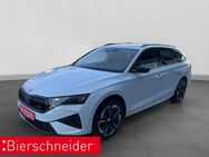 Skoda Octavia, 2.0 TSI Combi 360KAMERA, Jahr 2024 - Mühlhausen (Regierungsbezirk Oberpfalz)