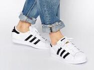 Suche Girl im Cheerleader Style mit Adidas Superstars oder Sambas zahle 500 - Ulm