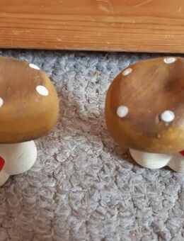 2x Deko Pilze zu verkaufen - Karlsbad