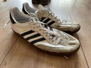 13 Jahre Adidas Samba - Leipzig Mitte