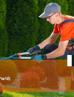 Florist (m/w/d) - Berlin
