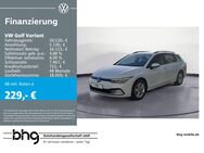 VW Golf Variant, 1.0 eTSI Life, Jahr 2022 - Metzingen