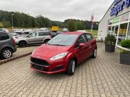 Ford Fiesta Trend SH, EPH, Frontscheibenheizung - Falkenstein (Vogtland)