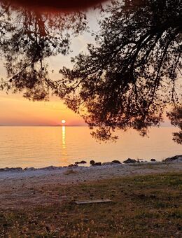 Gemeinsames Glück gesucht 💝 - Chemnitz