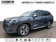 Subaru Forester, 2.0 ie Platinum 4xSH TOP, Jahr 2024 - Ahrensfelde