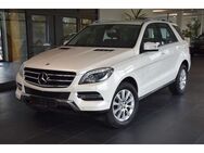 Mercedes-Benz ML 400 4MATIC 7G-TRONIC"360°KAMERA"COMAND"1.HAND - Dieburg