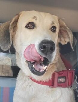 ULLA - endlich leben 💛 - Marienfließ