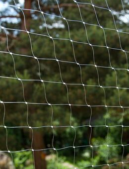 Katzennetz transparent - 2 x 3 m