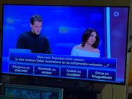 Fernseher 55 Zoll mit Fußballmodu - Dortmund