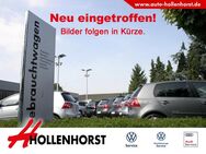 VW T-Cross, Move, Jahr 2023 - Münster