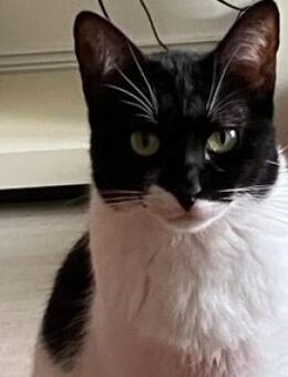 Martina - Das Schicksal will es anders - Poing