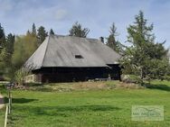 ***DER SCHWARZWALD RUFT*** - Schönwald (Schwarzwald)