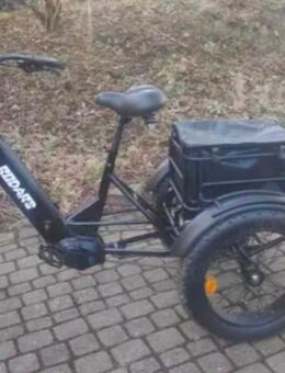 E-Trike Rodalb Artemis - Neuenbürg