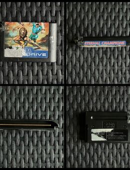 ETERNAL CHAMPIONS | Sega Mega Drive | GUT - Dresden