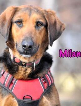 Milana3 ausgeglichene Schönheit 01/22 - Ruppertsecken
