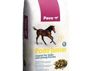 Pavo Podo Junior - 15 kg