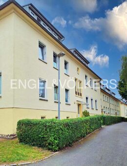 - Paket- oder Einzelverkauf - Attraktives Renditepaket - 11 vollvermietete Wohnungen in der Elsteraue - Elsteraue