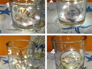 %%...ab 3,50 € Glas Windlicht Fisch Anker Steuerrad Maritime Deko - Rheinbach