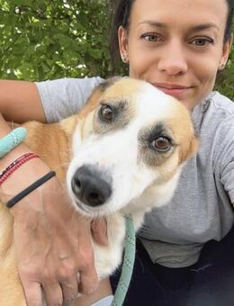 Stets liebevoll + freundlich = DARCY ♥️ - München