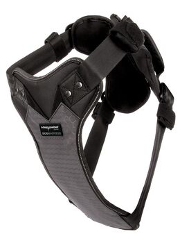 Kleinmetall DogMaster 2.0 Sicherheits Hundegeschirr crash-getestet (TÜV) - Größe S: für kleine Hunde