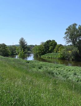 Der Weg ist das Ziel -entlang der Saale- zu Ihrem neuen Zuhause - Naumburg (Saale)