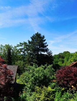 DACHGESCHOSS-WOHNUNG MIT FERNBLICK - Heiligenberg