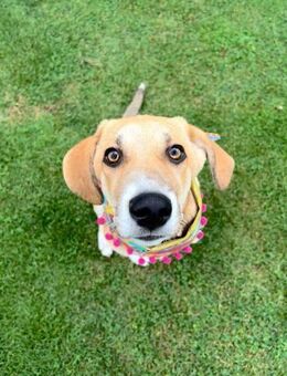 Inez sucht ihre Herzensmenschen - Celle