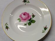 Original Meissen Porzellan Dessertteller Kuchenteller Wildrose Rosé 1. Wahl - Mendig