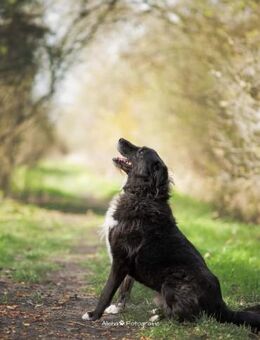 Nappo PLZ 68642 - Dreikirchen