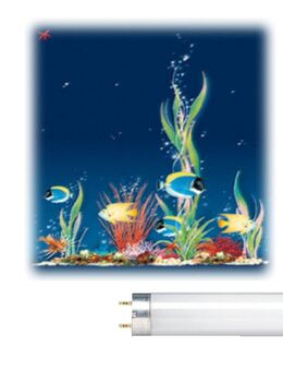 Narva Aquarium Leuchtstofflampe LT18 Watt Daylight 60 cm - Verden (Aller)