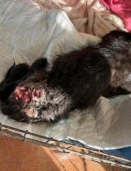 Lara hofft auf ein gutes Leben - Neuss