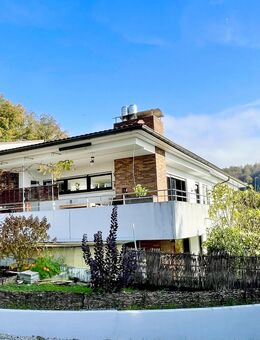 Leben und Platz haben wie in einem Haus ! - Grenzach-Wyhlen