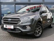 Ford Kuga ST-Line RFK LEDER NAVI GARANTIE! - Geisenheim