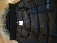 Tommy Hilfiger Winterjacke - Breisach (Rhein) Zentrum