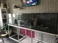 Aquarium 1000l - Brühl Zentrum