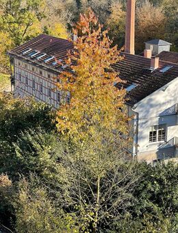 ILMROMANTIK - LEBEN IM EINKLANG MIT DER NATUR - SOFORT EINZIEHEN! - Weimar