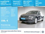 VW Golf, 2.0 TDI VIII Life GAR-2029, Jahr 2024 - Mannheim