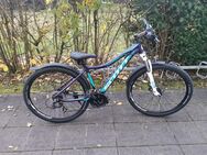 27,5 Zoll MTB Fahrrad "Scott Voltage" mit Scheiben Bremsen - Frankenthal (Pfalz)