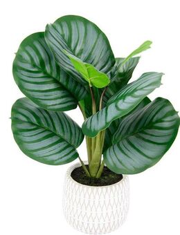 Kunstpflanze Maranthus, I.GE.A., Höhe 43 cm, Künstliche Korbmaranthe Galathea Medaillon Kunstpflanze Efeutute