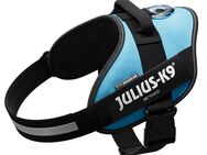 JULIUS-K9 IDC®-Powergeschirr, aquamarin - Größe: XL