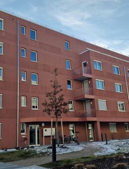 moderne 3-Zimmer-Wohnung im Münchner Norden, Nähe Olympiapark - München