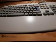 Lenovo SK-8825 L Ergonomische Tastatur Keyboard - Berlin Lichtenberg