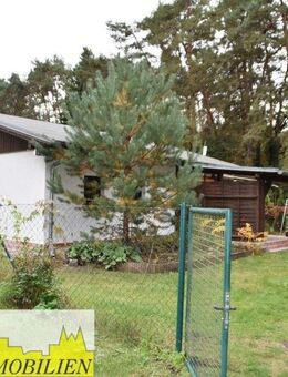 WEH in Wendisch Rietz - ca. 10 Minuten fußläufig zum See und den Wald quasi vor der Tür! - Wendisch Rietz