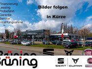 CUPRA Born, Edition Dynamic ) h, Jahr 2024 - Delmenhorst